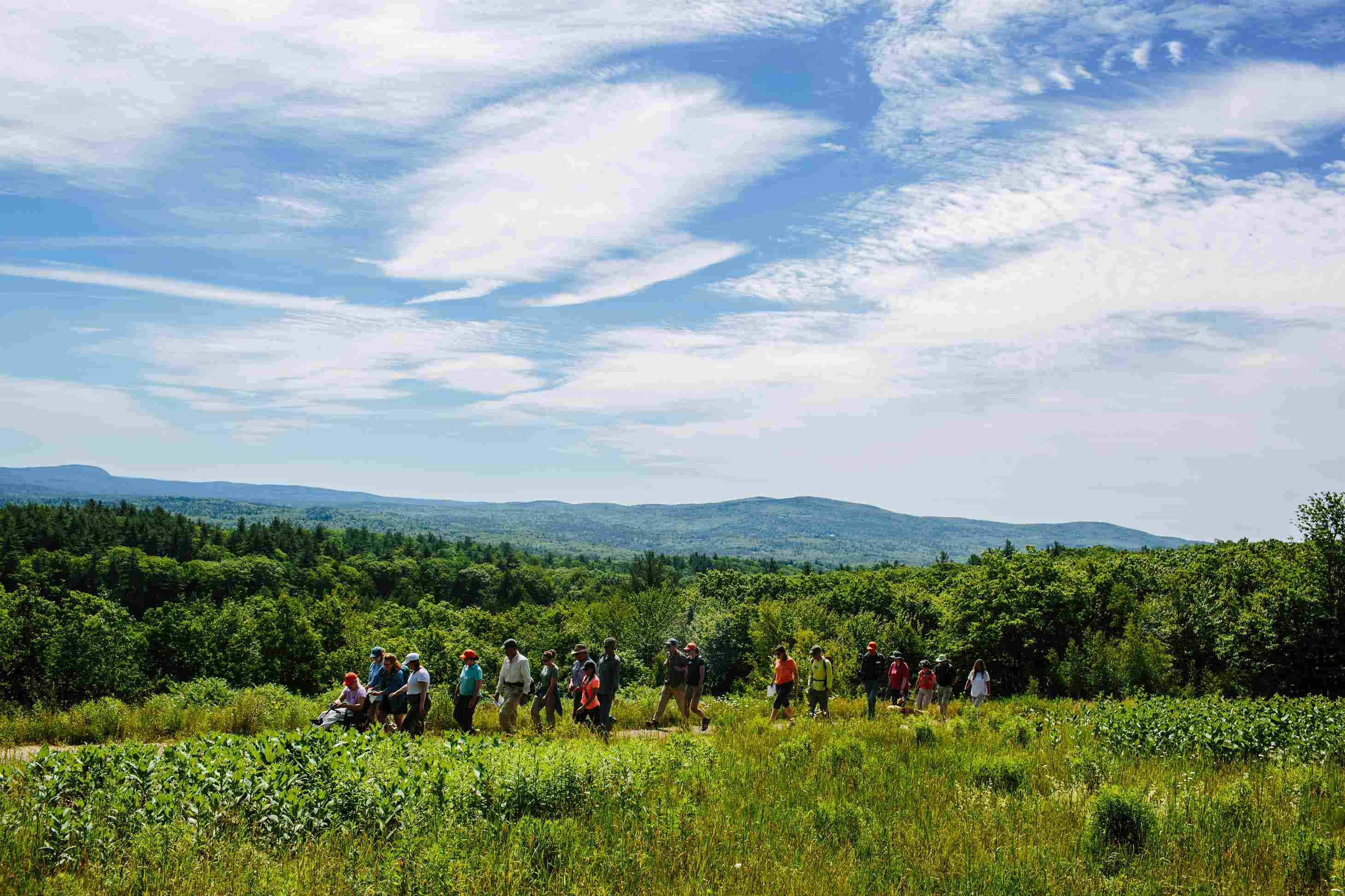 Must-Visit Local Attractions in Newbury, NH